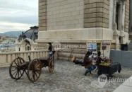 Főőrség Étterem & Kávéház Budapest