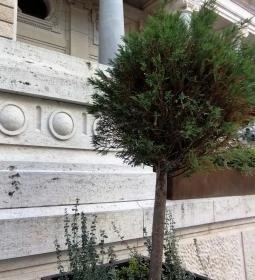 Főőrség Étterem & Kávéház