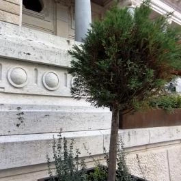 Főőrség Étterem & Kávéház Budapest - Egyéb