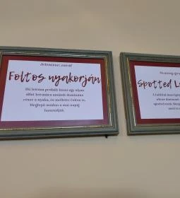 Főőrség Étterem & Kávéház