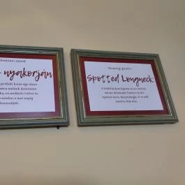 Főőrség Étterem & Kávéház Budapest - Egyéb