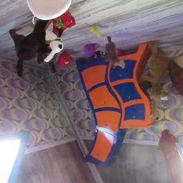 Fordított ház Hajdúszoboszló - Egyéb