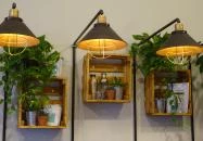 Forest Cafe Budapest