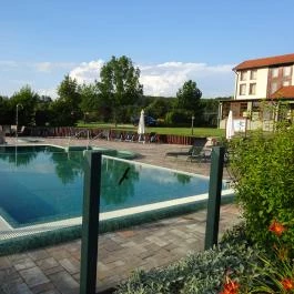 Forest Hills Biohotel & Golf Zirc - Medence/kert