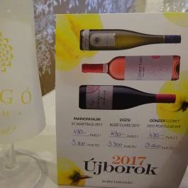 Forgó Étterem , Dunabogdány - Belső