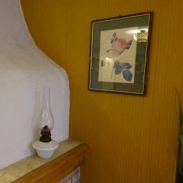 Forgó Étterem , Dunabogdány - Belső