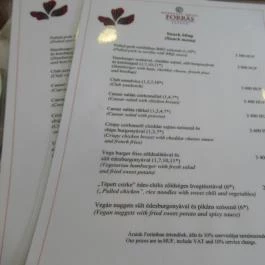 Forrás Spa Bár Szeged - Egyéb