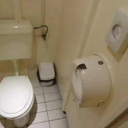 Fortuna Szálloda-és Étteremhajó Budapest - Mosdó