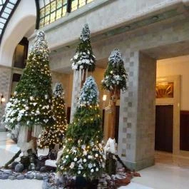 Four Seasons Hotel Budapest - Belső