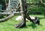 Fővárosi Állat- és Növénykert Budapest