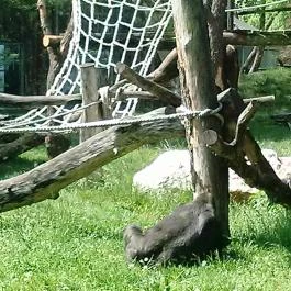 Fővárosi Állat- és Növénykert Budapest - Egyéb