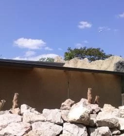 Fővárosi Állat- és Növénykert