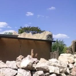 Fővárosi Állat- és Növénykert Budapest - Egyéb