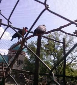 Fővárosi Állat- és Növénykert