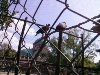 Fővárosi Állat- és Növénykert Budapest