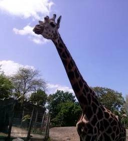 Fővárosi Állat- és Növénykert