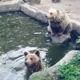 Fővárosi Állat- és Növénykert Budapest - Egyéb