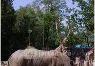 Fővárosi Állat- és Növénykert Budapest