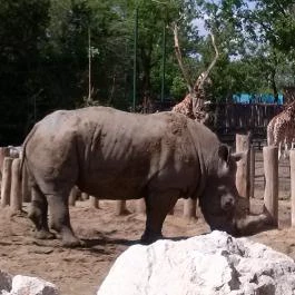 Fővárosi Állat- és Növénykert Budapest - Egyéb