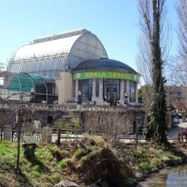 Fővárosi Állat- és Növénykert Budapest - Egyéb