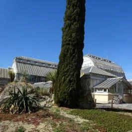 Fővárosi Állat- és Növénykert Budapest - Egyéb