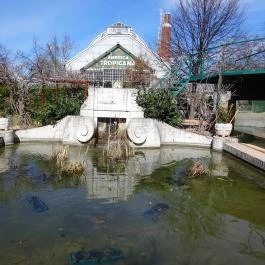 Fővárosi Állat- és Növénykert Budapest - Egyéb