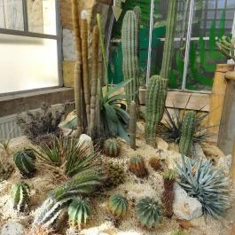 Fővárosi Állat- és Növénykert Budapest - Egyéb