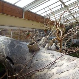 Fővárosi Állat- és Növénykert Budapest - Egyéb