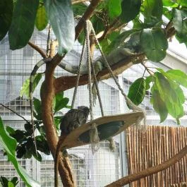 Fővárosi Állat- és Növénykert Budapest - Egyéb