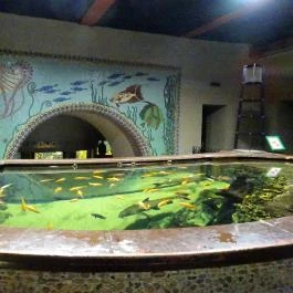 Fővárosi Állat- és Növénykert Budapest - Egyéb