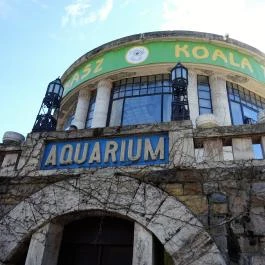 Fővárosi Állat- és Növénykert Budapest - Egyéb