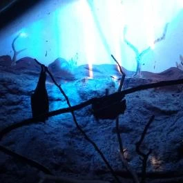 Fővárosi Állat- és Növénykert Budapest - Egyéb