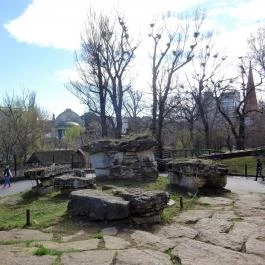 Fővárosi Állat- és Növénykert Budapest - Egyéb