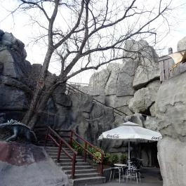 Fővárosi Állat- és Növénykert Budapest - Egyéb