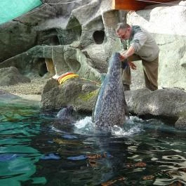 Fővárosi Állat- és Növénykert Budapest - Egyéb