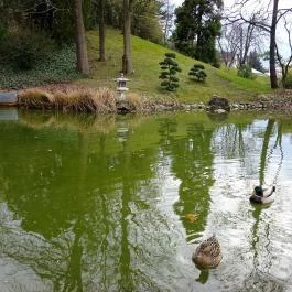 Fővárosi Állat- és Növénykert Budapest - Egyéb