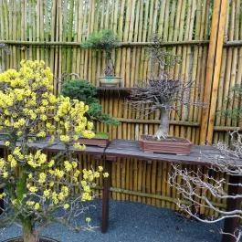 Fővárosi Állat- és Növénykert Budapest - Egyéb