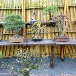 Fővárosi Állat- és Növénykert Budapest - Egyéb