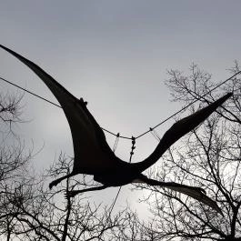 Fővárosi Állat- és Növénykert Budapest - Egyéb