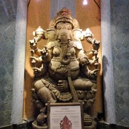 Fővárosi Állat- és Növénykert Budapest - Egyéb