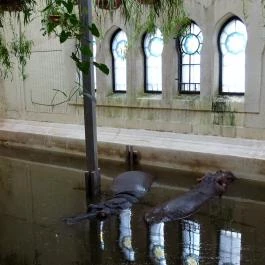 Fővárosi Állat- és Növénykert Budapest - Egyéb