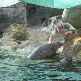 Fővárosi Állat- és Növénykert Budapest - Egyéb