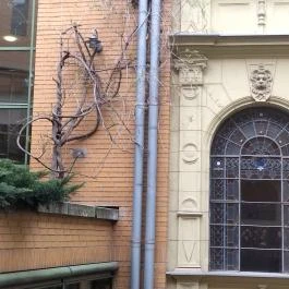 Fővárosi Szabó Ervin Könyvtár Budapest - Egyéb