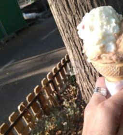 Fragola - Pozsonyi út