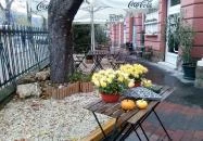 Franko Tejbár Budapest