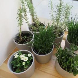 Freyja Budapest - Belső