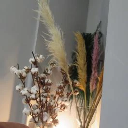 Frida Budapest - Egyéb