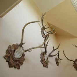 Fried Kastély Hotel Simontornya - Egyéb