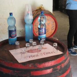 Fried Kastélyszálló Pincészet, Simontornya - Egyéb