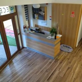 Friskó Panzió Zalakaros - Egyéb